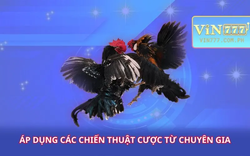 ap-dung-cac-chien-thuat-cuoc-tu-chuyen-gia